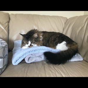 Meet your Posher, Emily